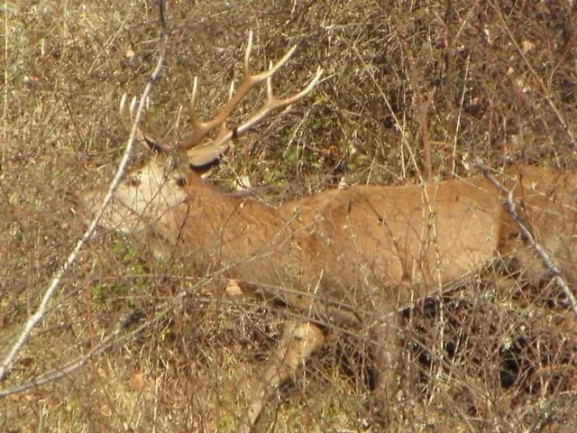 Prázdninový dům Confortable Avec Grande Cheminee Et Vues Sur Les Montagnes