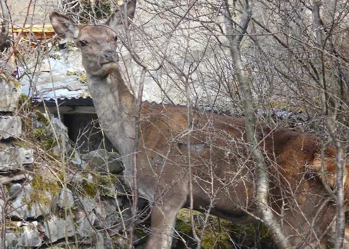 Confortable Avec Grande Cheminee Et Vues Sur Les Montagnes Prázdninový dům