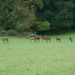 Nyaraló Confortable Avec Grande Cheminee Et Vues Sur Les Montagnes