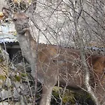 Confortable Avec Grande Cheminee Et Vues Sur Les Montagnes Nyaraló